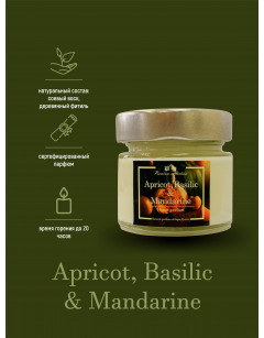 Аромасвеча  Apricot, Basilic & Mandarine